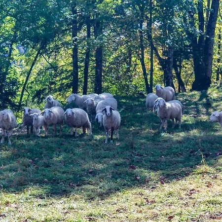 House Pokljuka - Bohinj Сasa de vacaciones Koprivnik v Bohinju